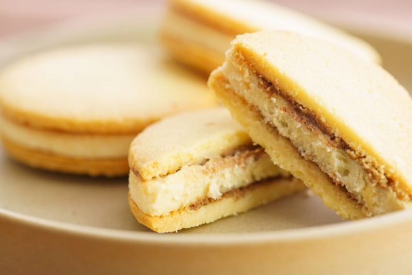 酒粕チョコサンドクッキー 10個入